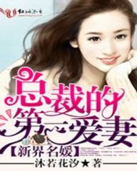 新界名媛总裁的第一爱妻下载